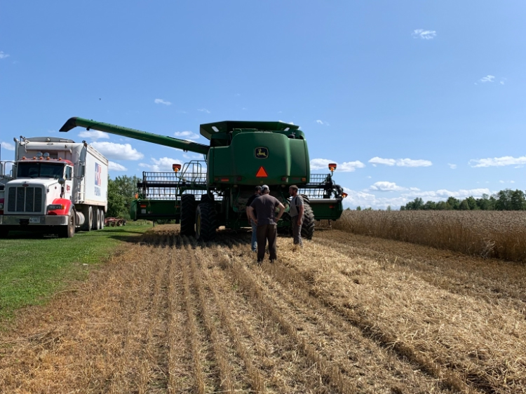 Harvex grain trucking