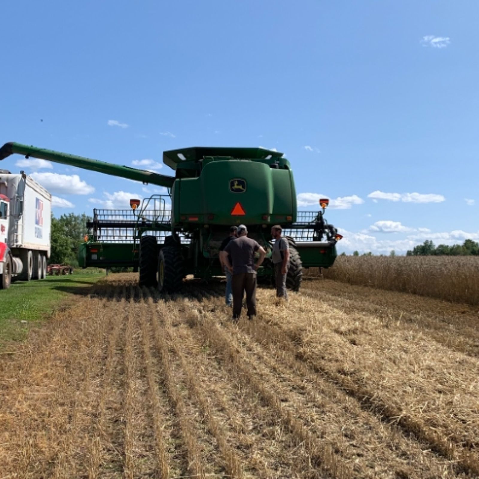Harvex grain trucking