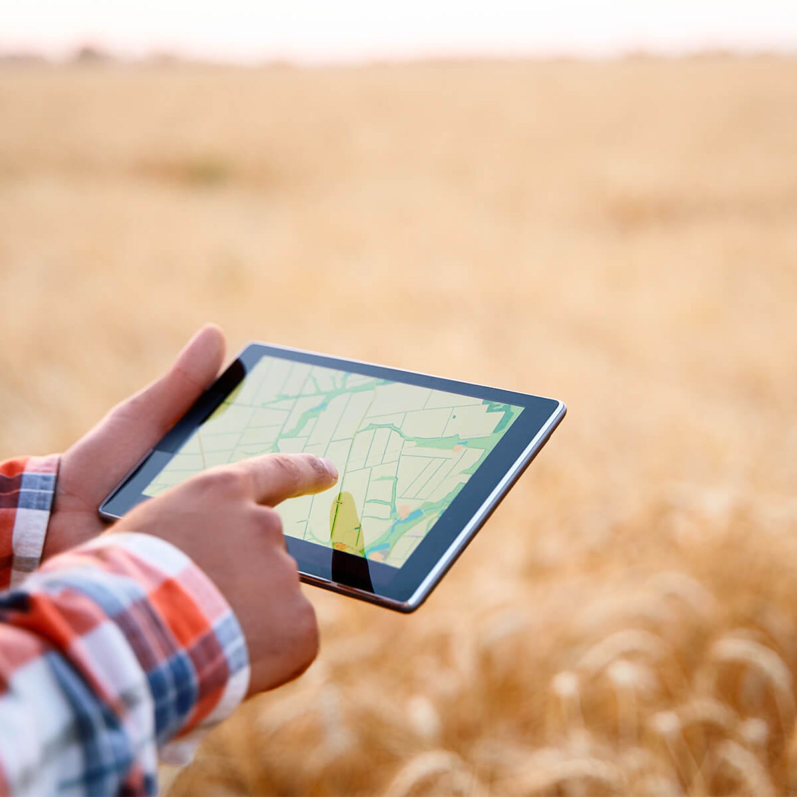 Harvex agronomy mapping with tablet and corn field