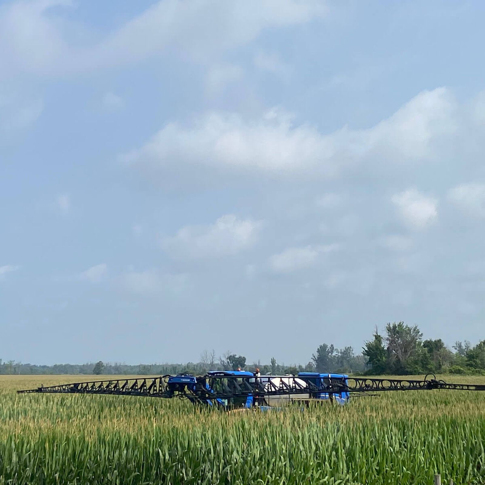 Harvex nutrient application on crop